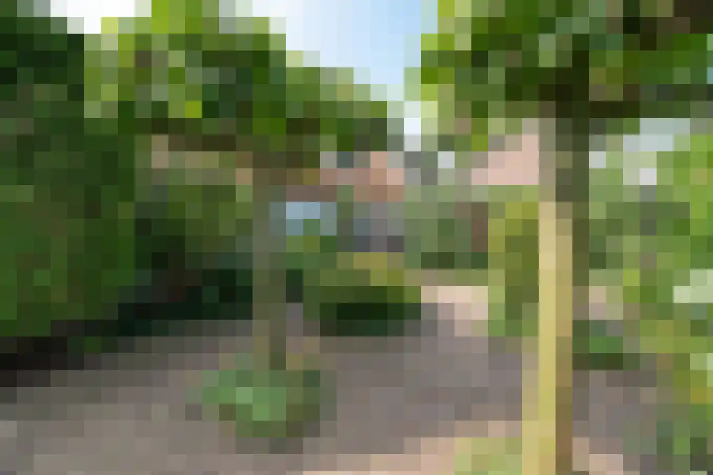 Valkenaarstraat 123 Huizen thumbnail 21