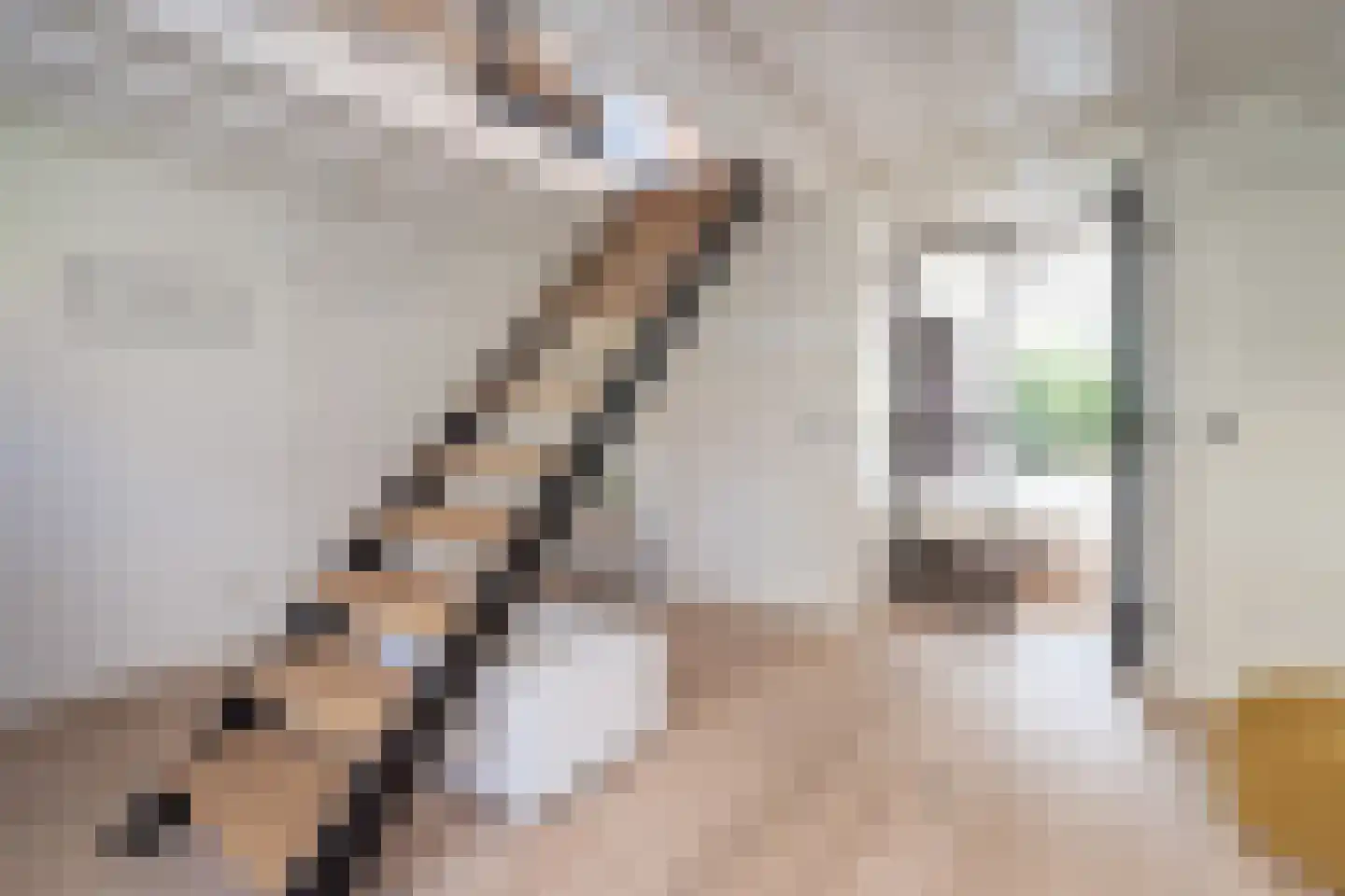 Valkenaarstraat 123 Huizen thumbnail 6
