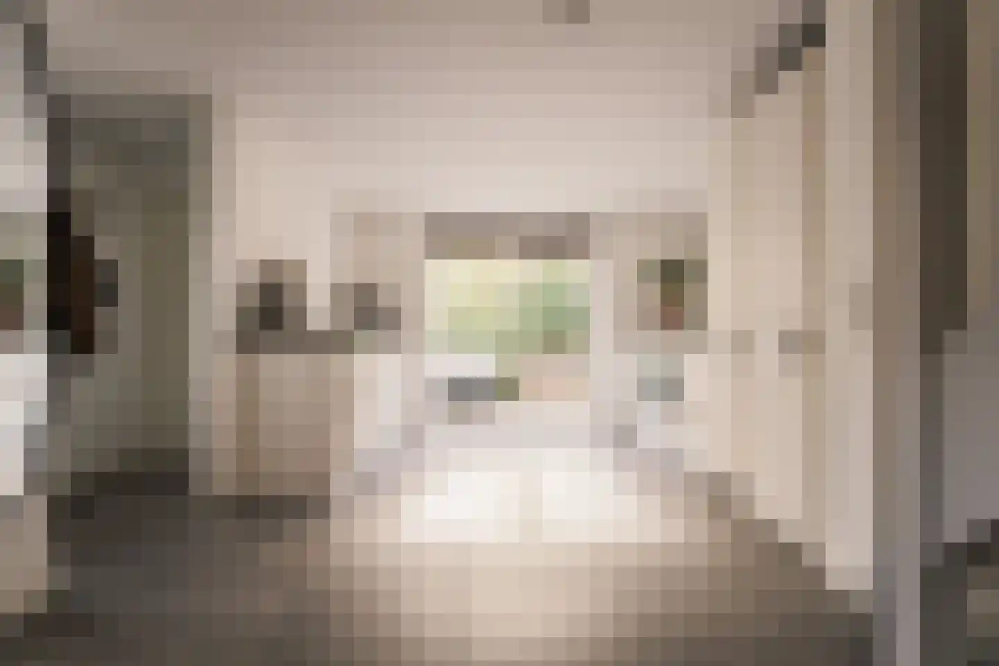 Valkenaarstraat 21 Huizen thumbnail 10