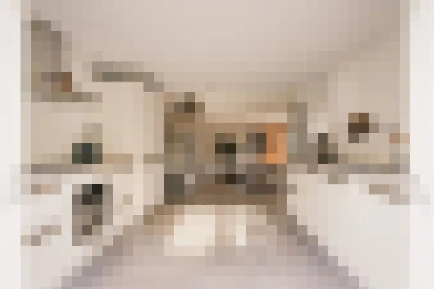 Valkenaarstraat 21 Huizen thumbnail 11