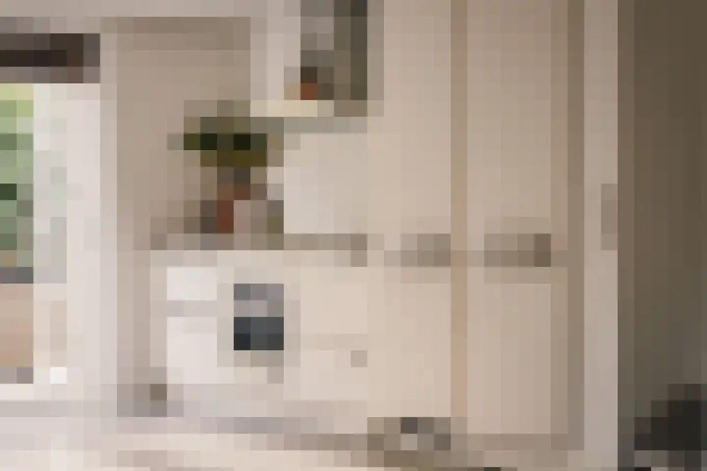 Valkenaarstraat 21 Huizen thumbnail 13