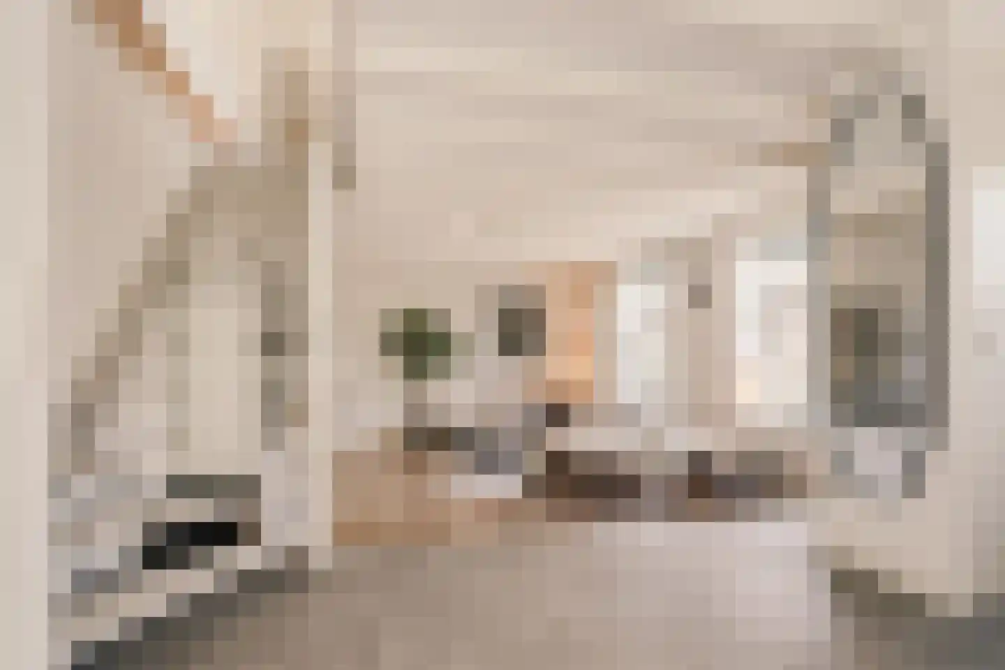 Valkenaarstraat 21 Huizen thumbnail 15