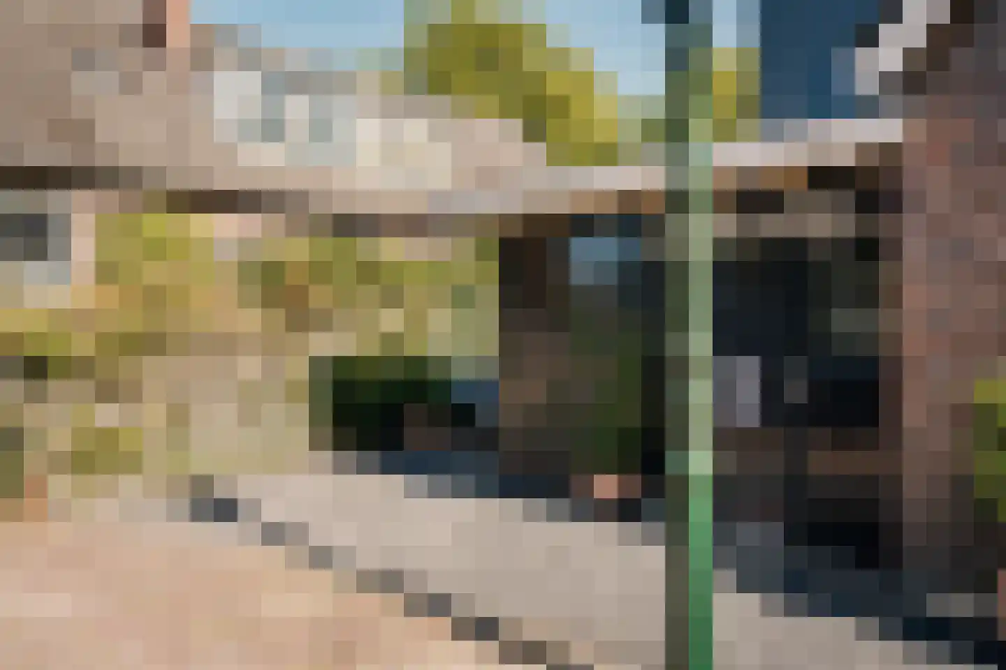 Valkenaarstraat 21 Huizen thumbnail 31