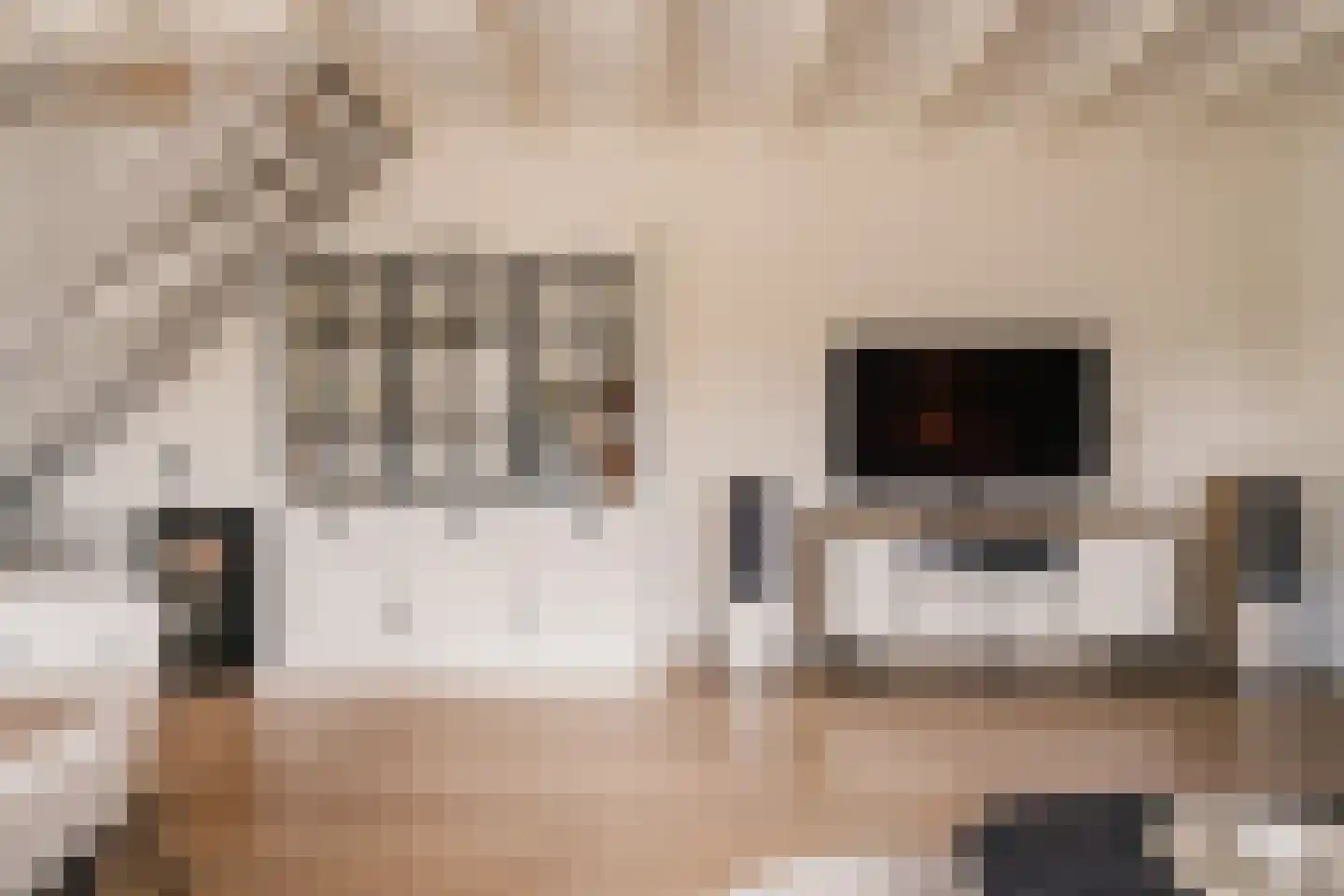 Valkenaarstraat 21 Huizen thumbnail 5