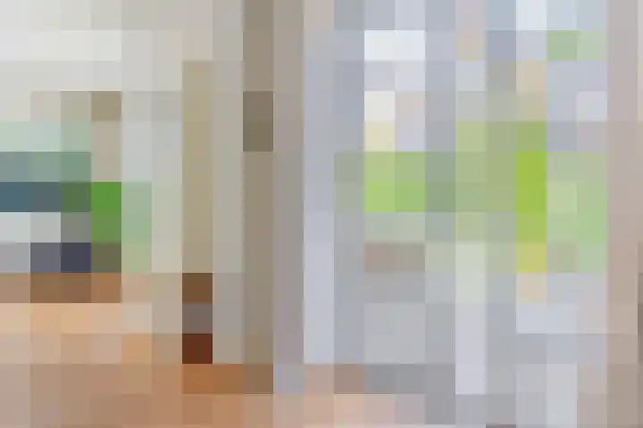Valkenaarstraat 31 Huizen thumbnail 17