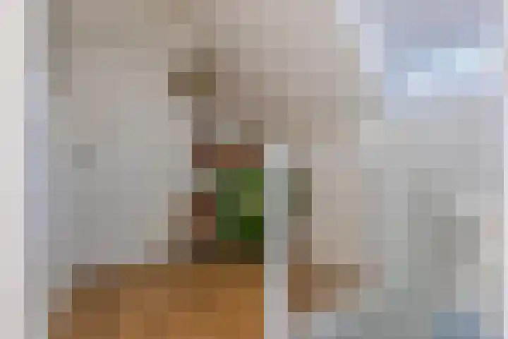 Valkenaarstraat 31 Huizen thumbnail 31