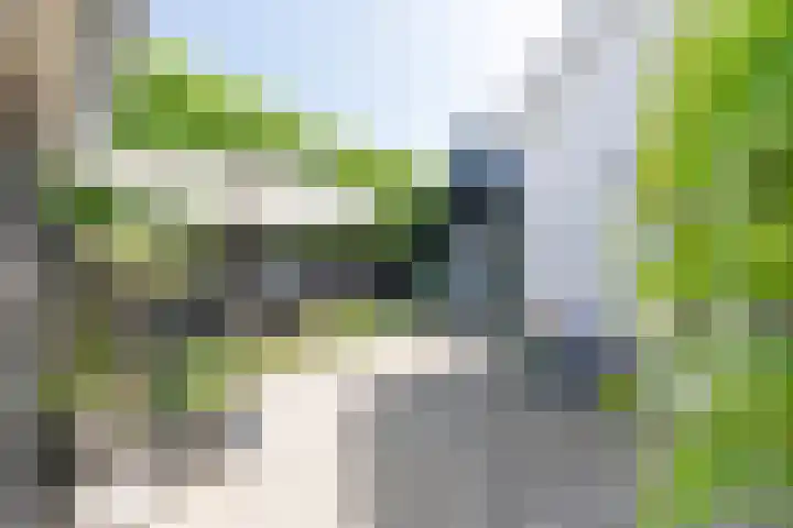 Valkenaarstraat 31 Huizen thumbnail 41