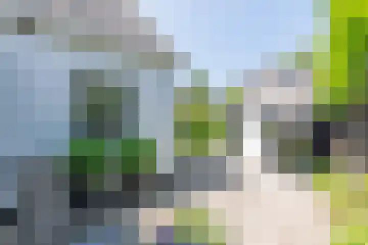 Valkenaarstraat 31 Huizen thumbnail 42