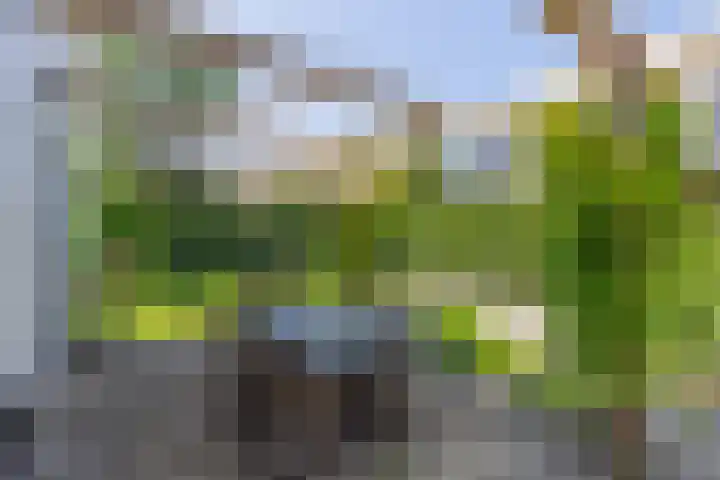 Valkenaarstraat 31 Huizen thumbnail 43