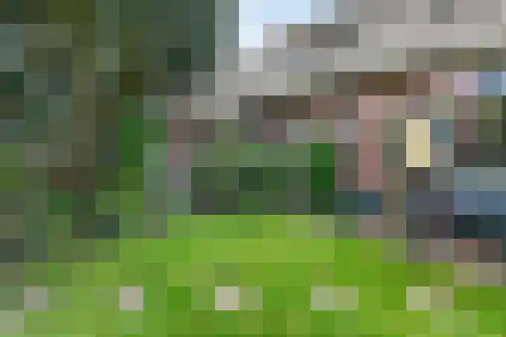 Valkenaarstraat 35 Huizen thumbnail 35
