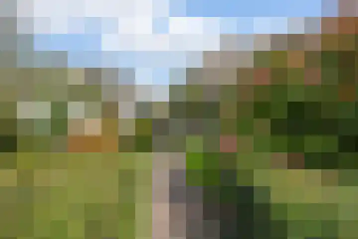 Valkenaarstraat 35 Huizen thumbnail 4