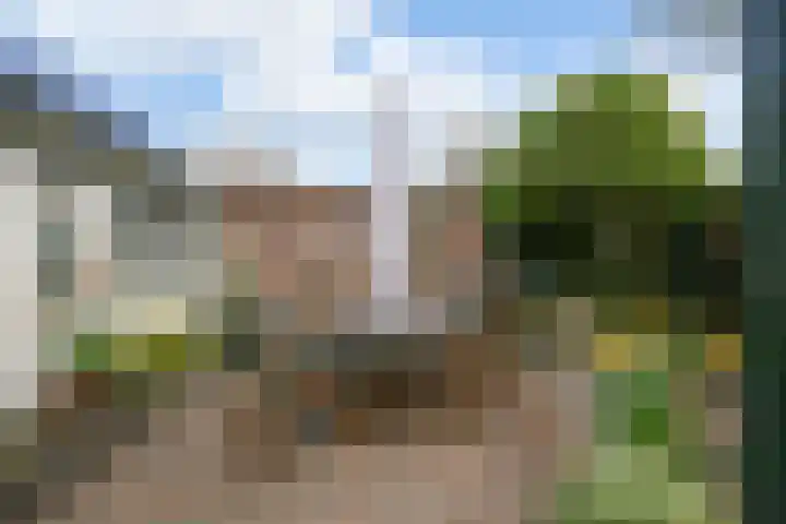 Valkenaarstraat 35 Huizen thumbnail 41