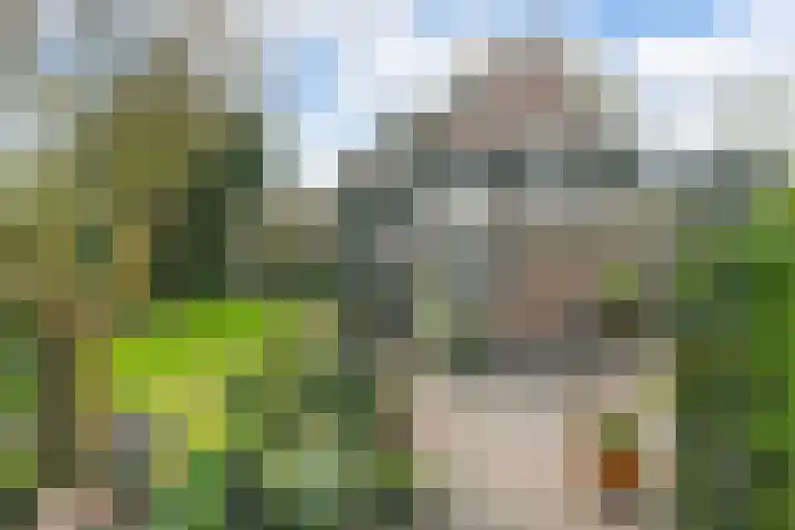 Valkenaarstraat 35 Huizen thumbnail 42