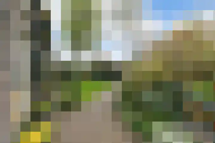 Valkenaarstraat 35 Huizen thumbnail 47
