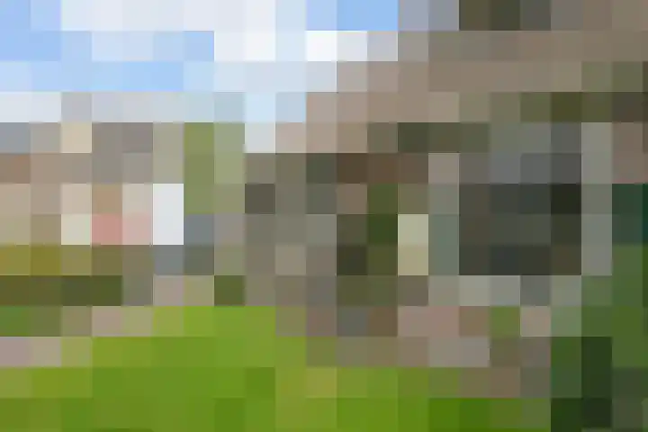 Valkenaarstraat 35 Huizen thumbnail 6