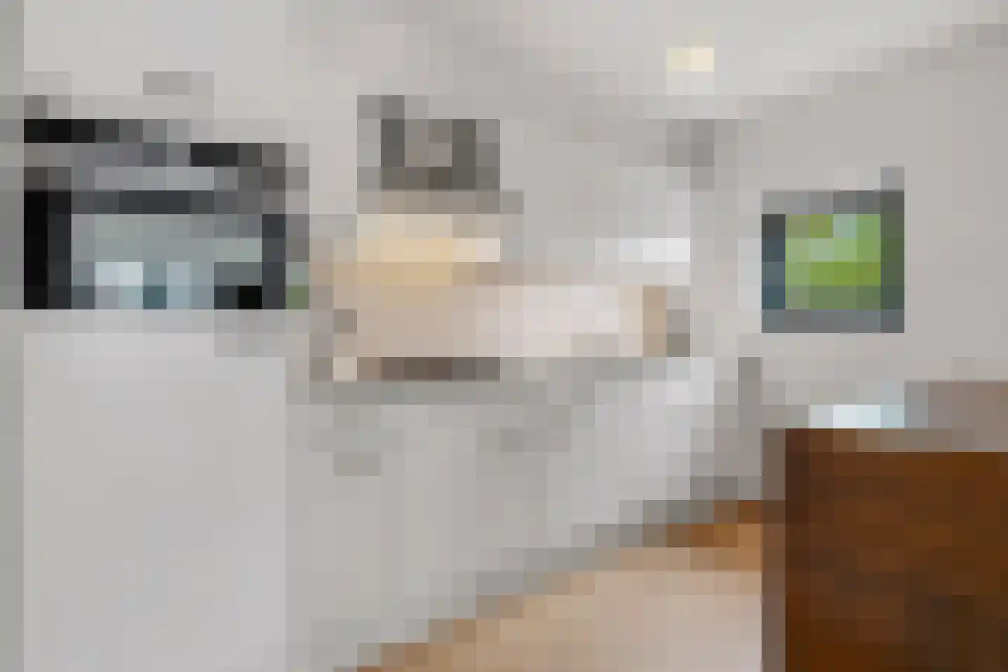 Valkenaerhof 52 Nijmegen thumbnail 4