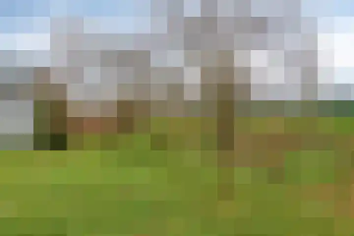 Valkenaerhof 87 Nijmegen thumbnail 24