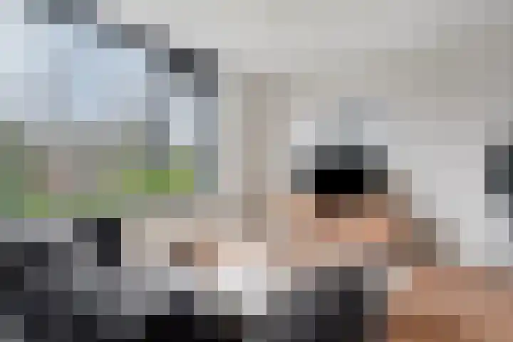 Valkenaerhof 87 Nijmegen thumbnail 7