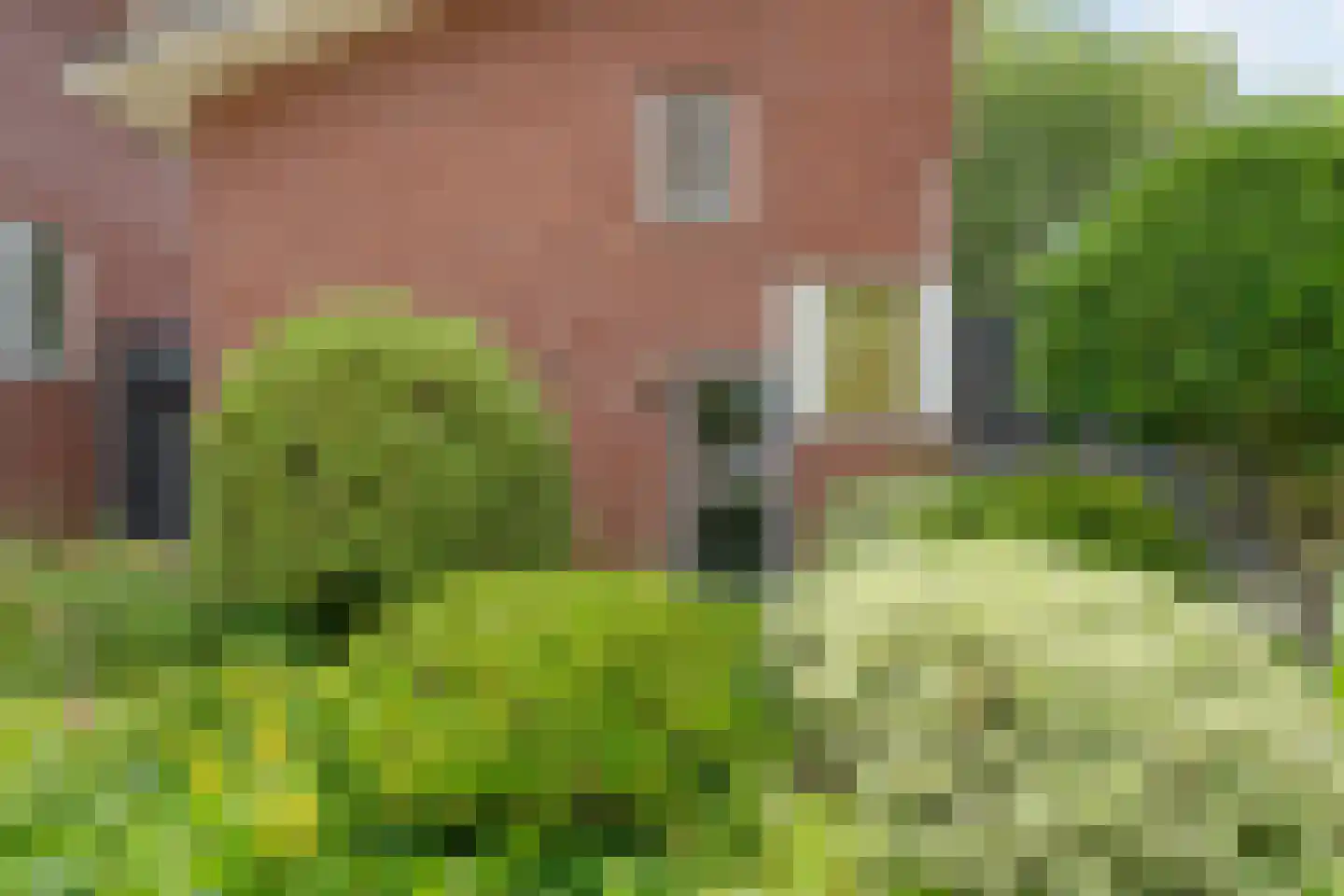 Valkenakker 2 Diever thumbnail 13