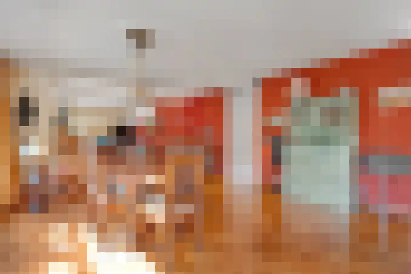 Valkenakker 2 Diever thumbnail 17