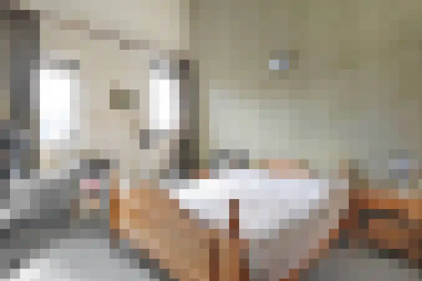 Valkenakker 2 Diever thumbnail 27