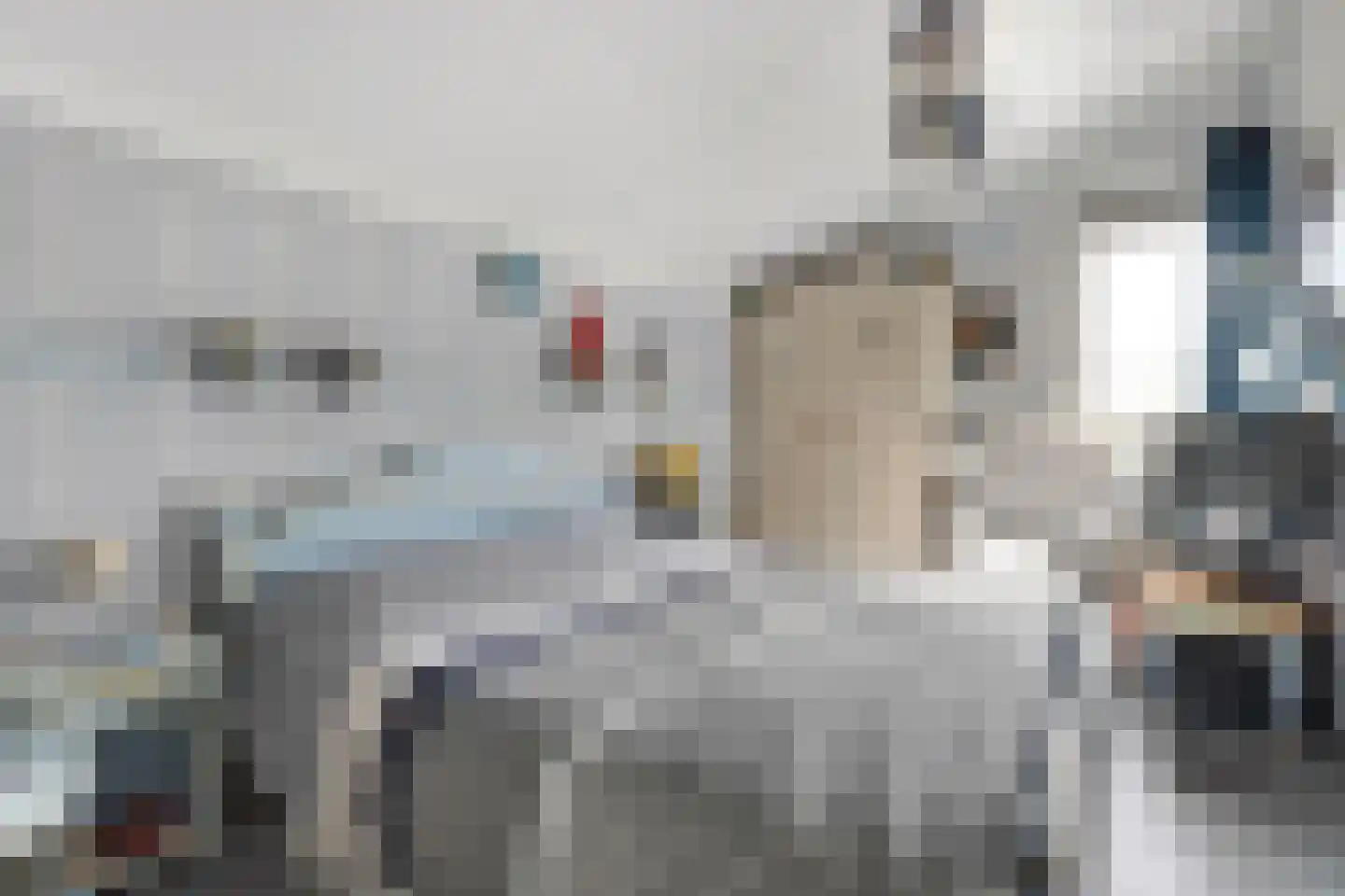 Valkenakker 2 Diever thumbnail 29