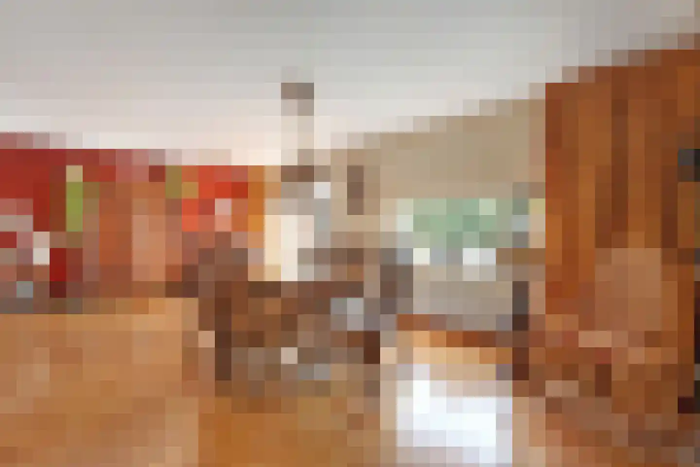 Valkenakker 2 Diever foto 3