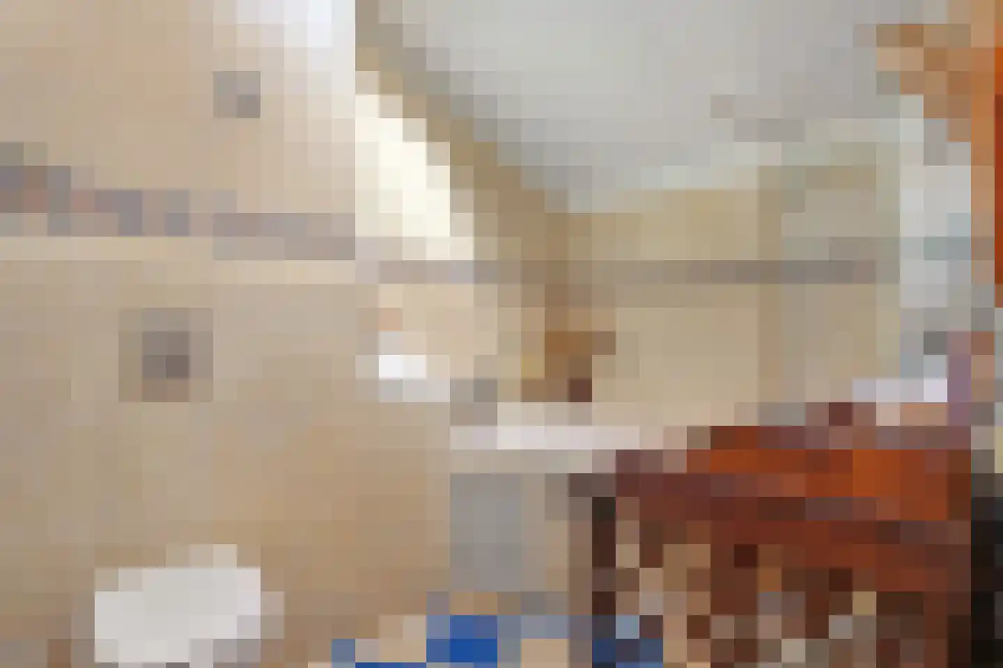 Valkenakker 2 Diever thumbnail 33