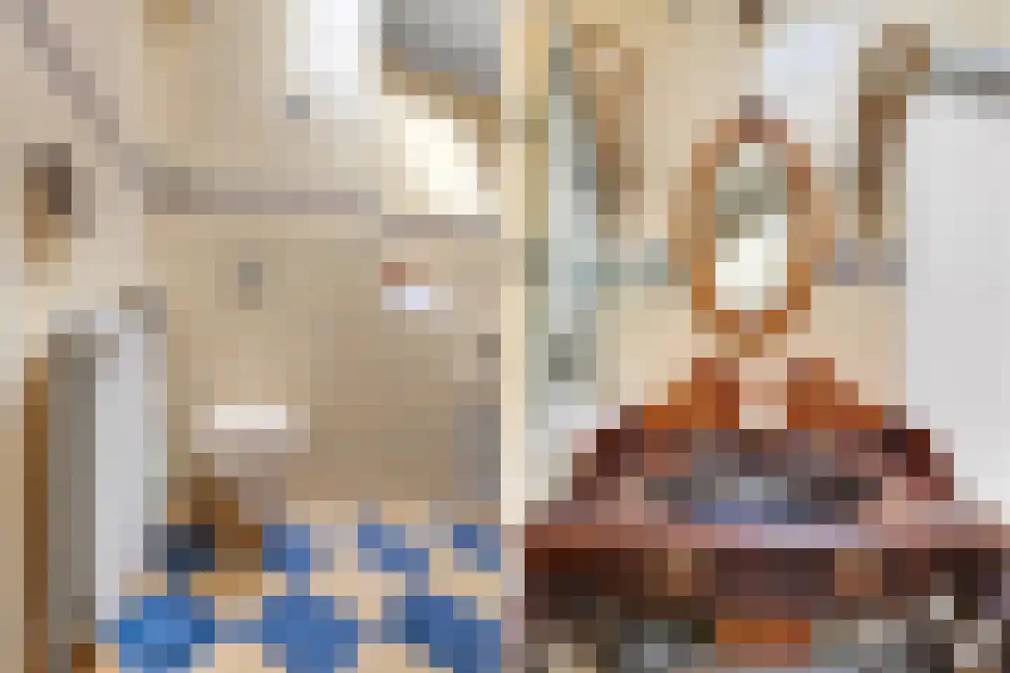 Valkenakker 2 Diever thumbnail 34