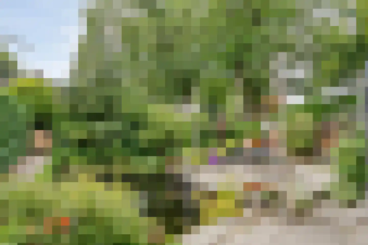 Valkenakker 2 Diever thumbnail 36