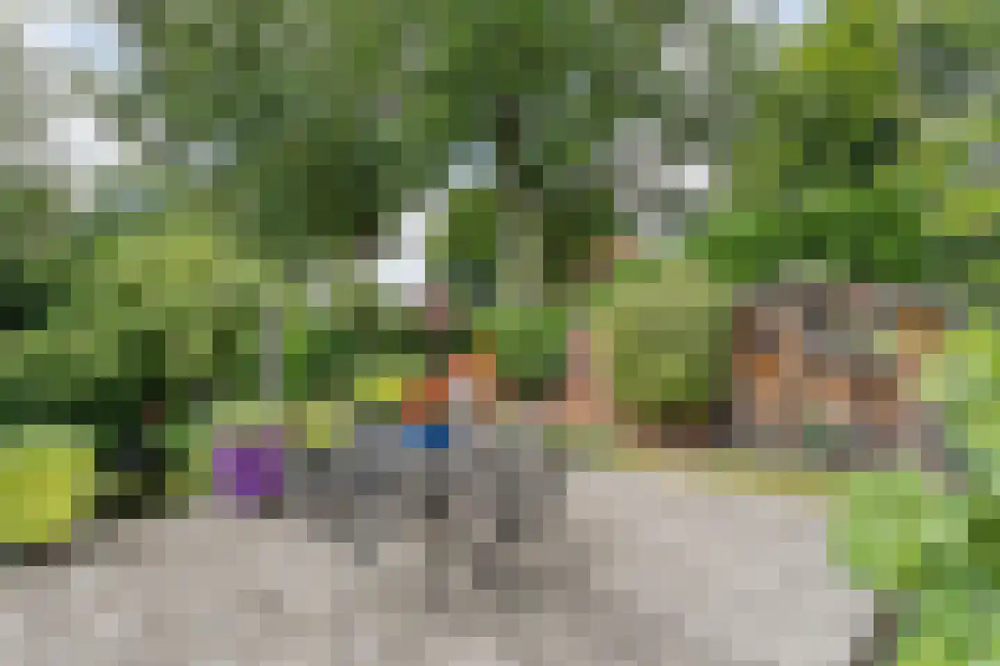 Valkenakker 2 Diever thumbnail 37