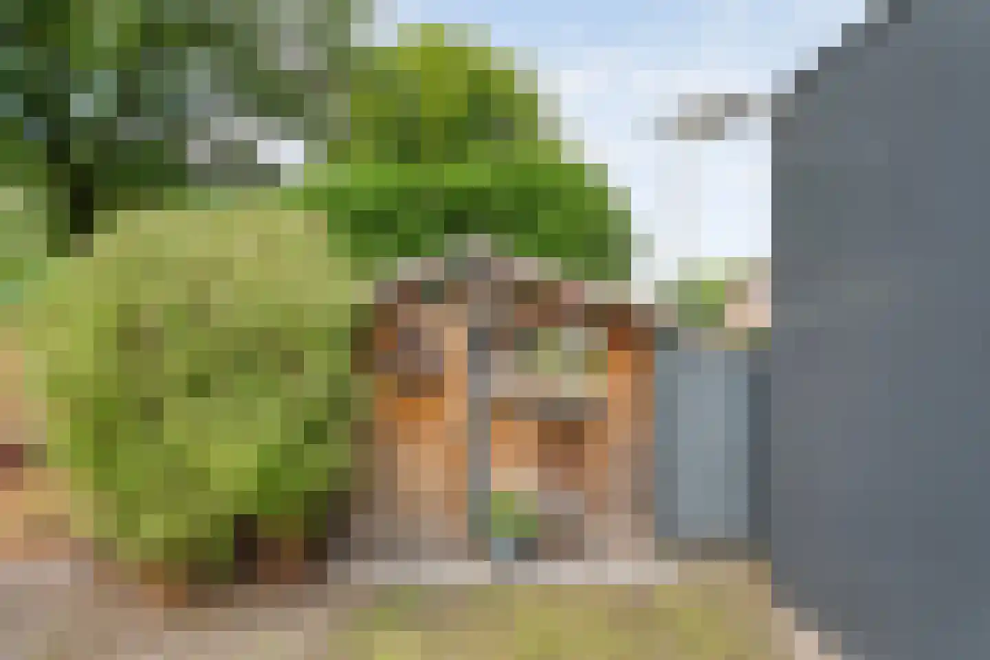Valkenakker 2 Diever thumbnail 38