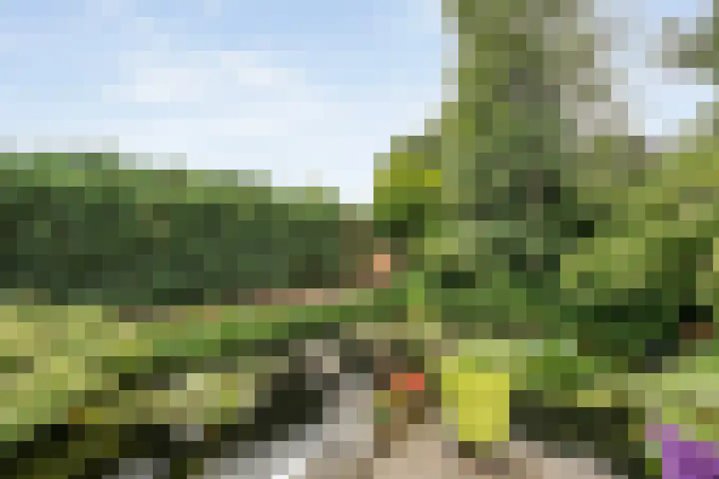 Valkenakker 2 Diever thumbnail 39