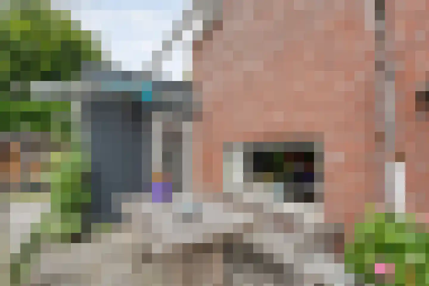 Valkenakker 2 Diever thumbnail 40