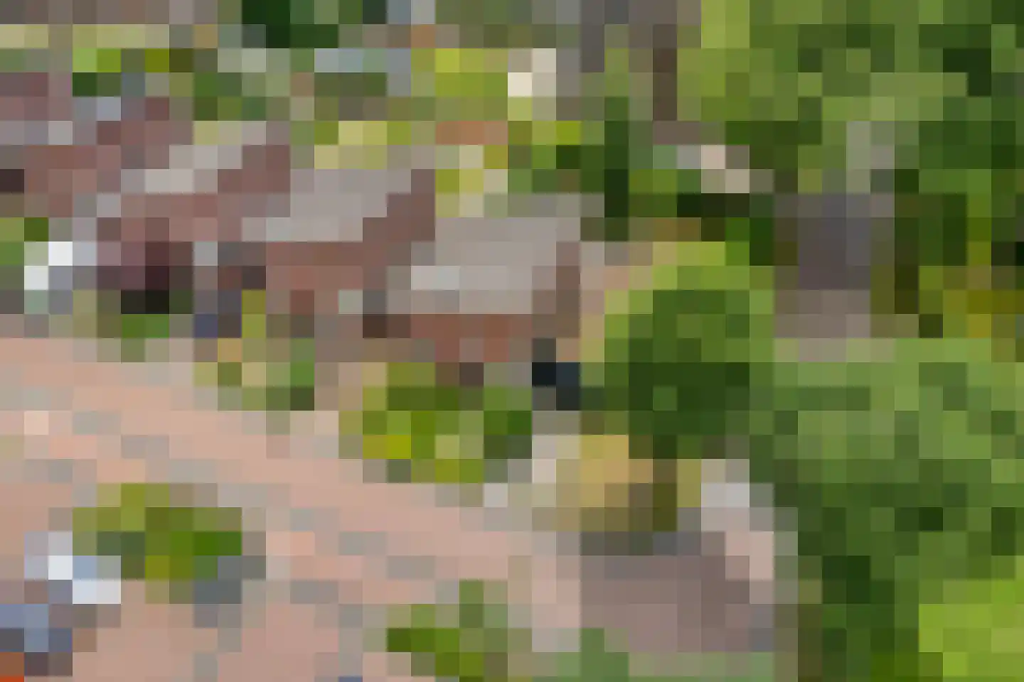 Valkenakker 2 Diever thumbnail 42