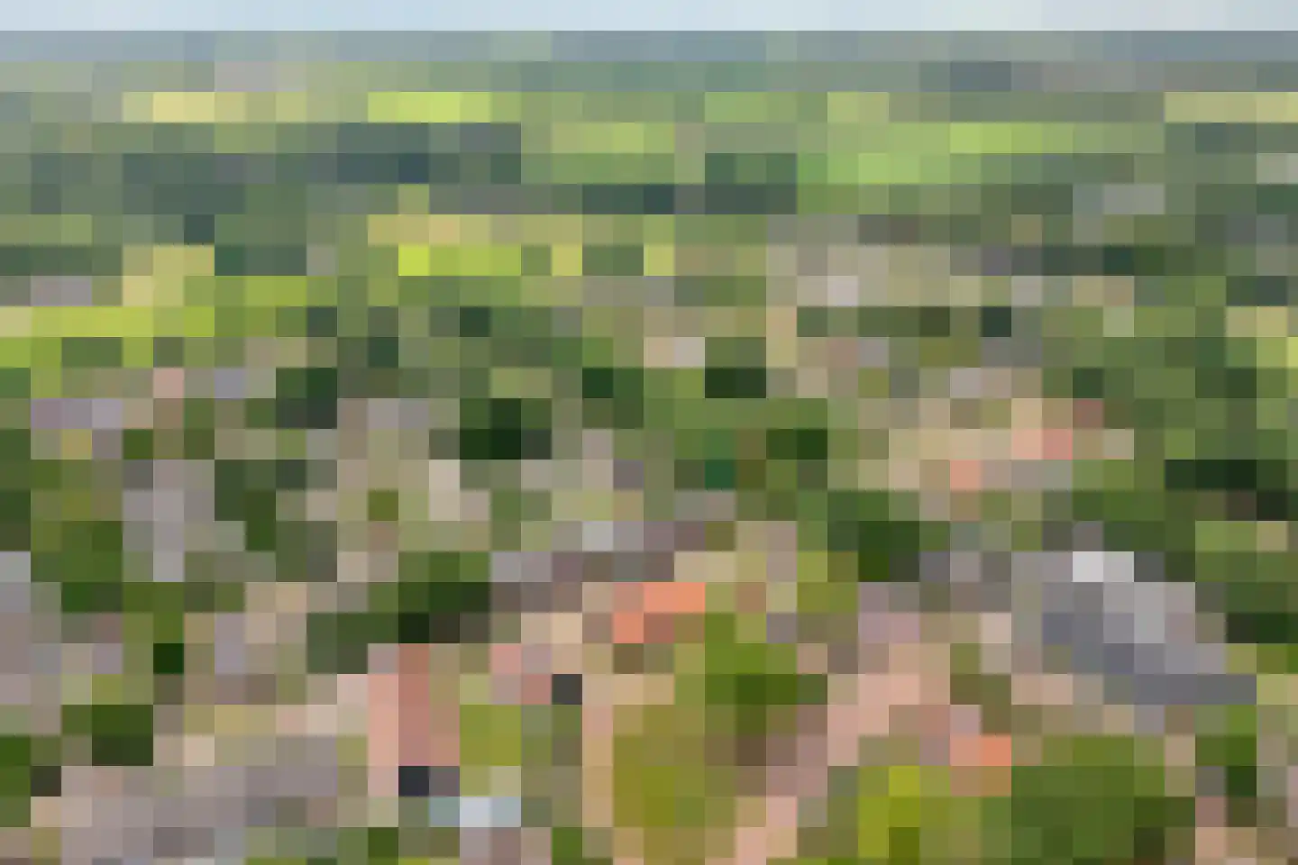 Valkenakker 2 Diever thumbnail 6