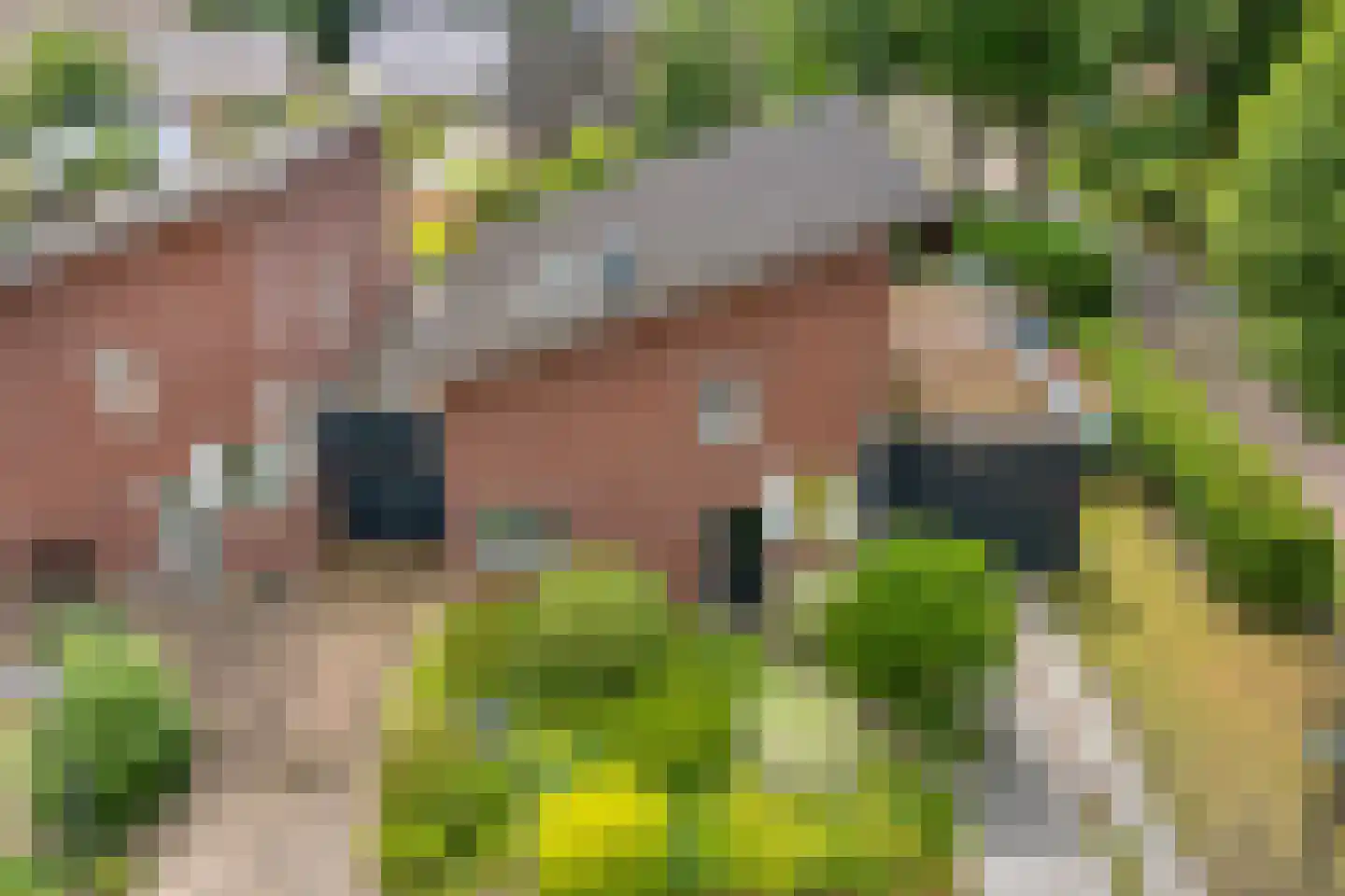 Valkenakker 2 Diever thumbnail 7