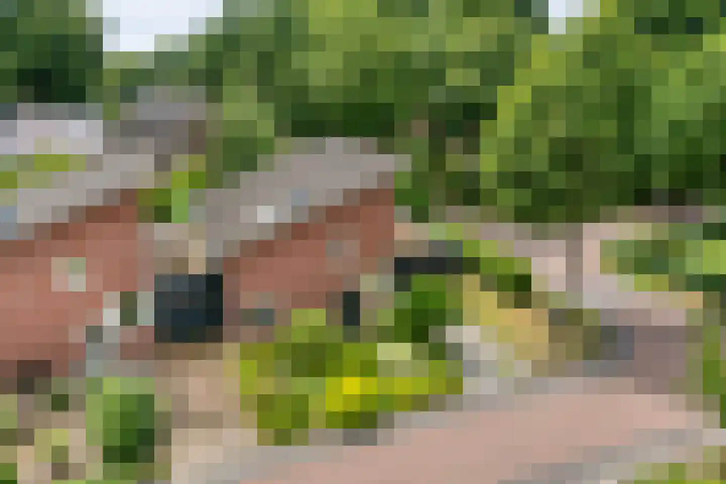 Valkenakker 2 Diever thumbnail 8