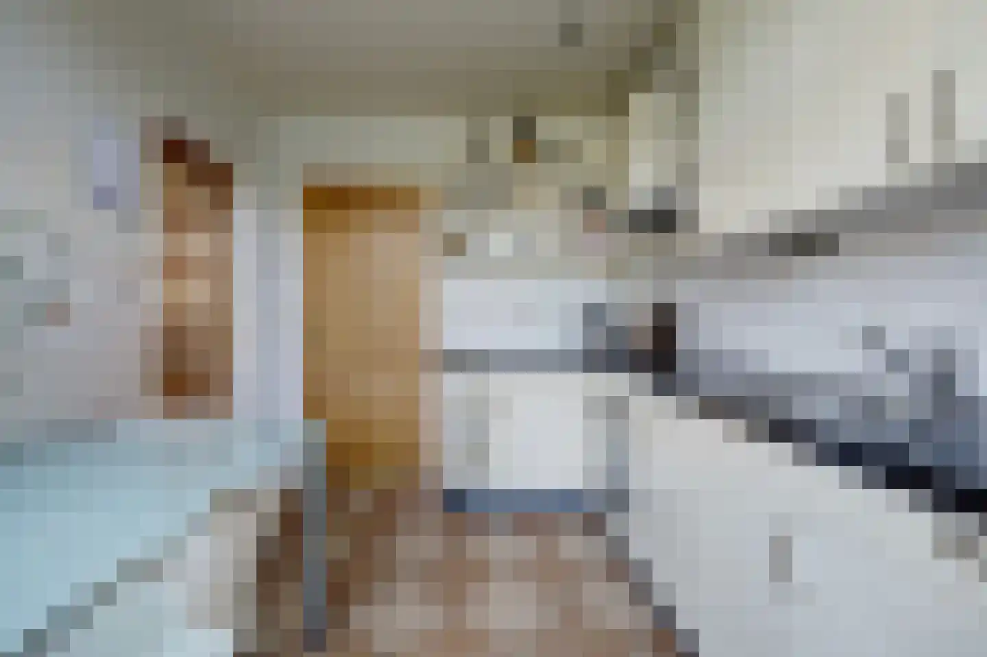 Valkenakker 37 Chaam thumbnail 22