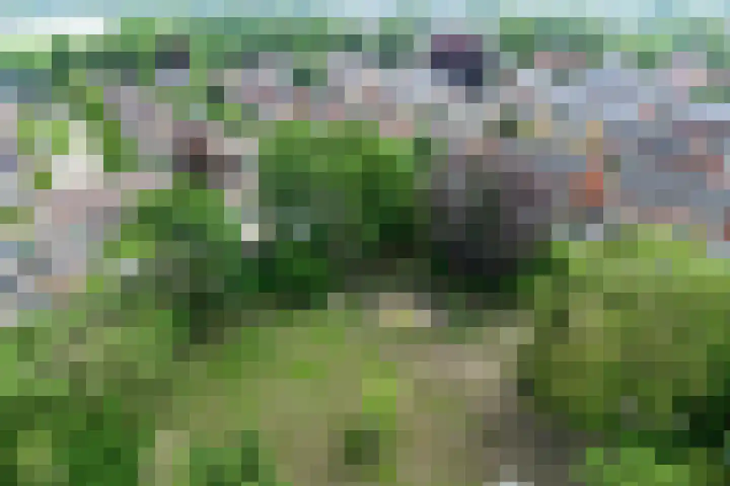 Valkenakker 37 Chaam thumbnail 53