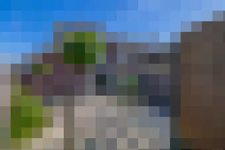 Valkenbergerhout 22 Harderwijk thumbnail 26