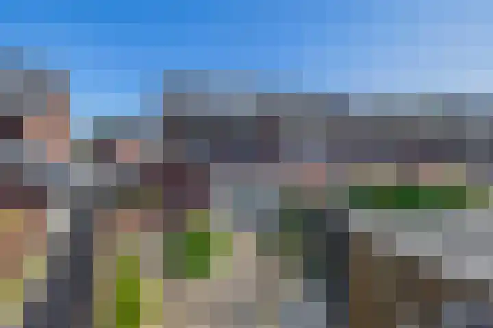 Valkenbergerhout 22 Harderwijk thumbnail 27