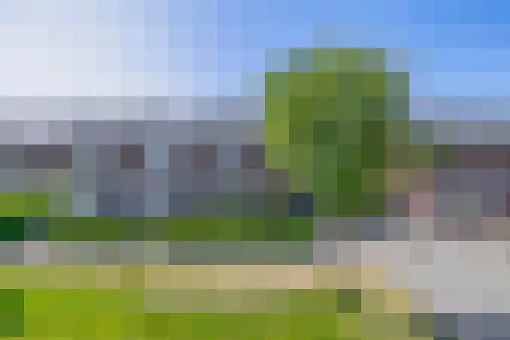 Valkenbergerhout 22 Harderwijk thumbnail 30