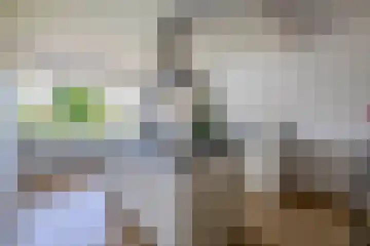 Valkenbergerhout 22 Harderwijk thumbnail 8