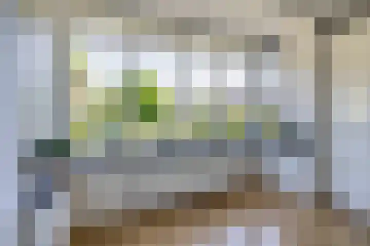 Valkenbergerhout 22 Harderwijk thumbnail 9