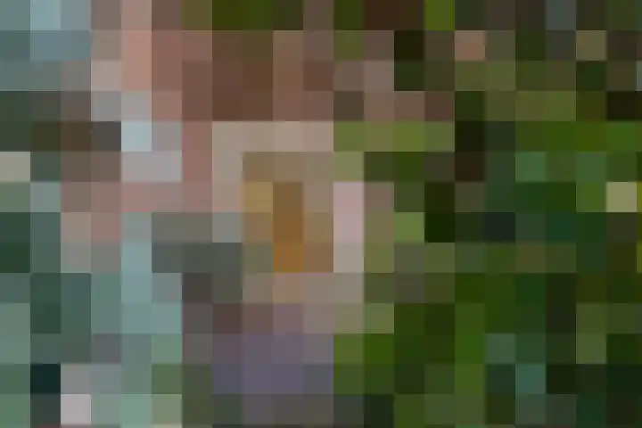 Valkenberglaan 37 Apeldoorn thumbnail 12
