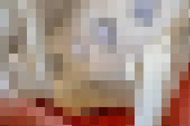 Valkenberglaan 37 Apeldoorn thumbnail 39