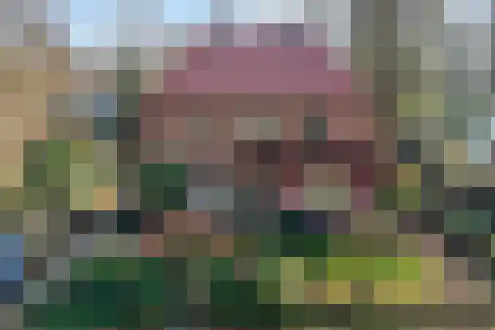 Valkenberglaan 37 Apeldoorn thumbnail 4