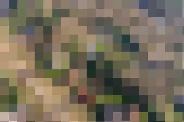 Valkenberglaan 37 Apeldoorn thumbnail 6