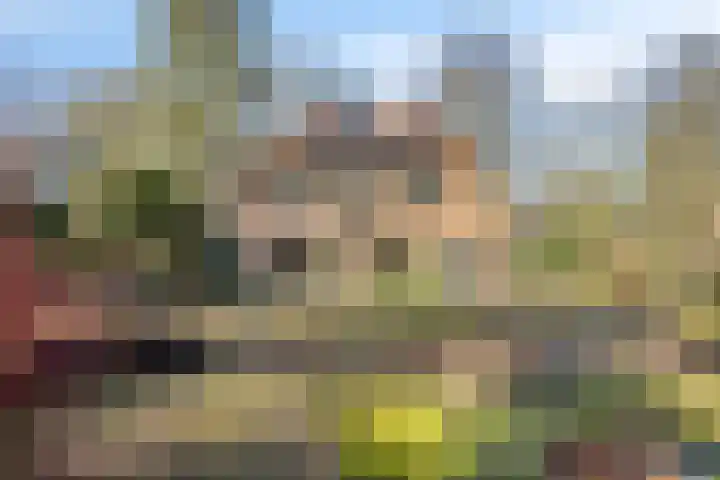 Valkenberglaan 37 Apeldoorn thumbnail 60
